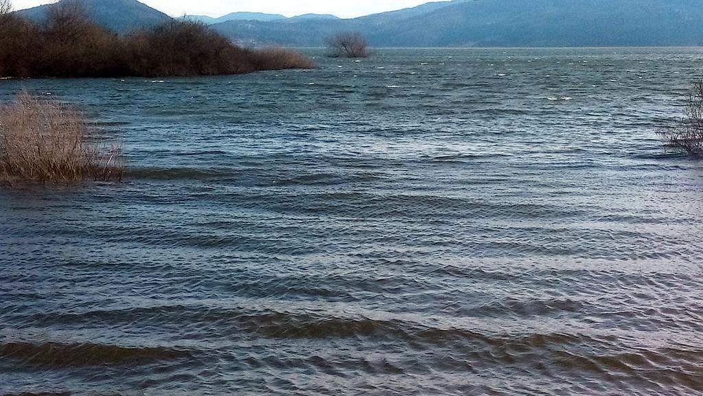 Apartment Jezerka Cerknica Εξωτερικό φωτογραφία